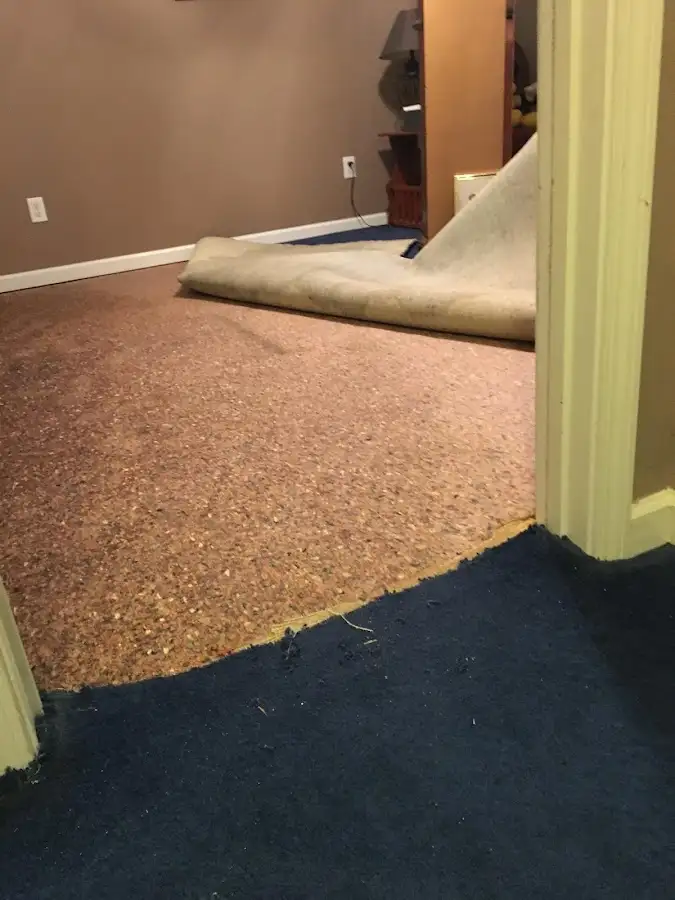 Carpet pad removal revealing water damage during Drying & Dehumidification in Fallston