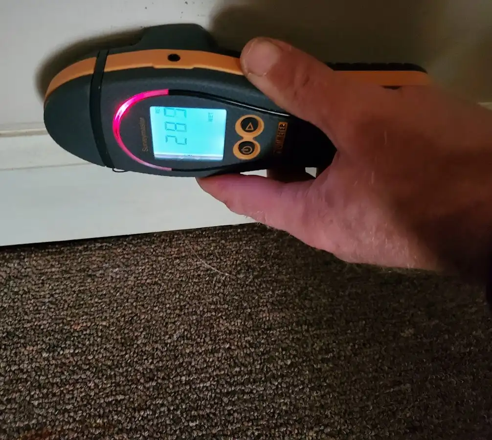 Moisture detection at baseboard during Sewage Cleanup & Sanitation in Fallston